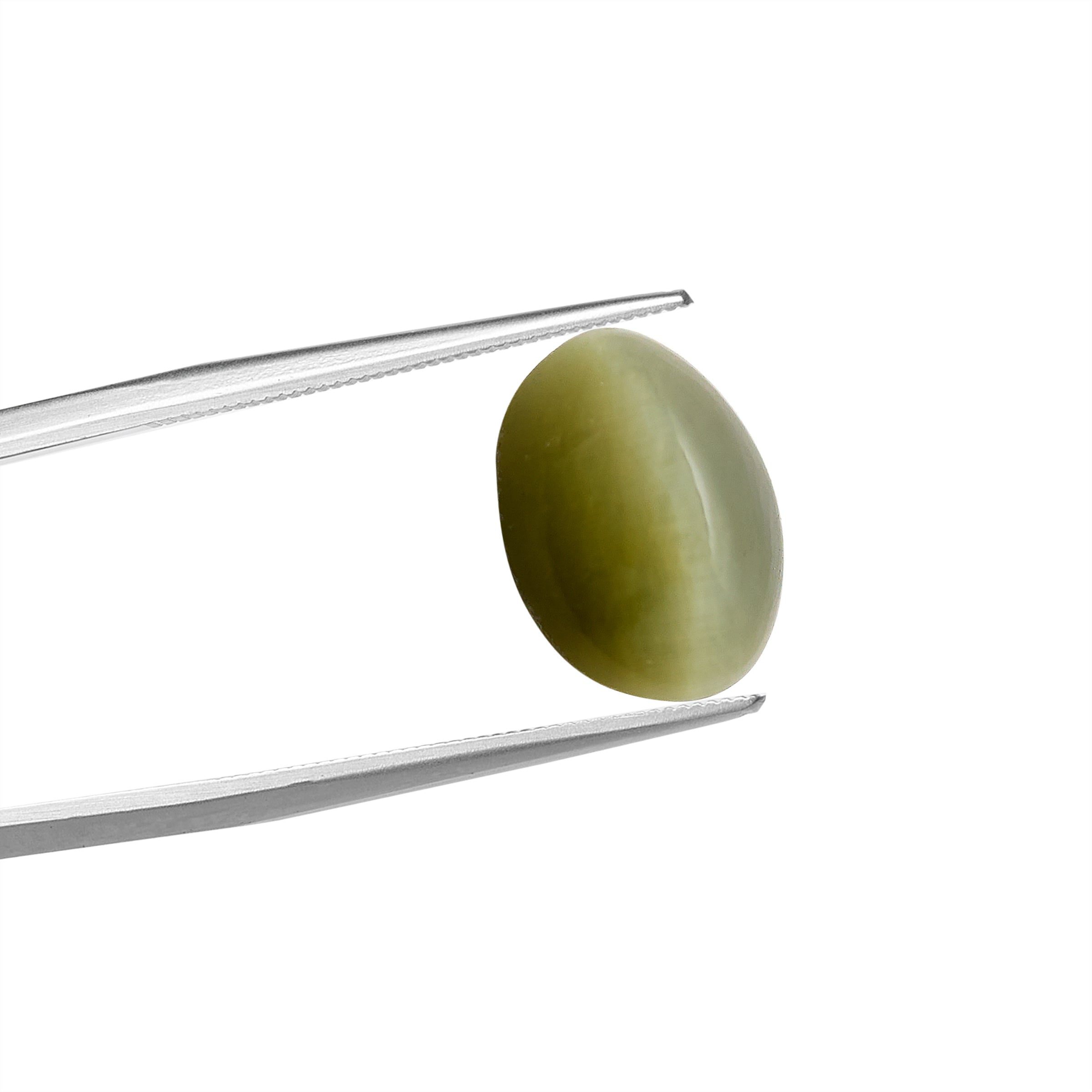 Natural Quartz Cat's Eye Gemstone (6.61 Carats and 7.27 Ratti)