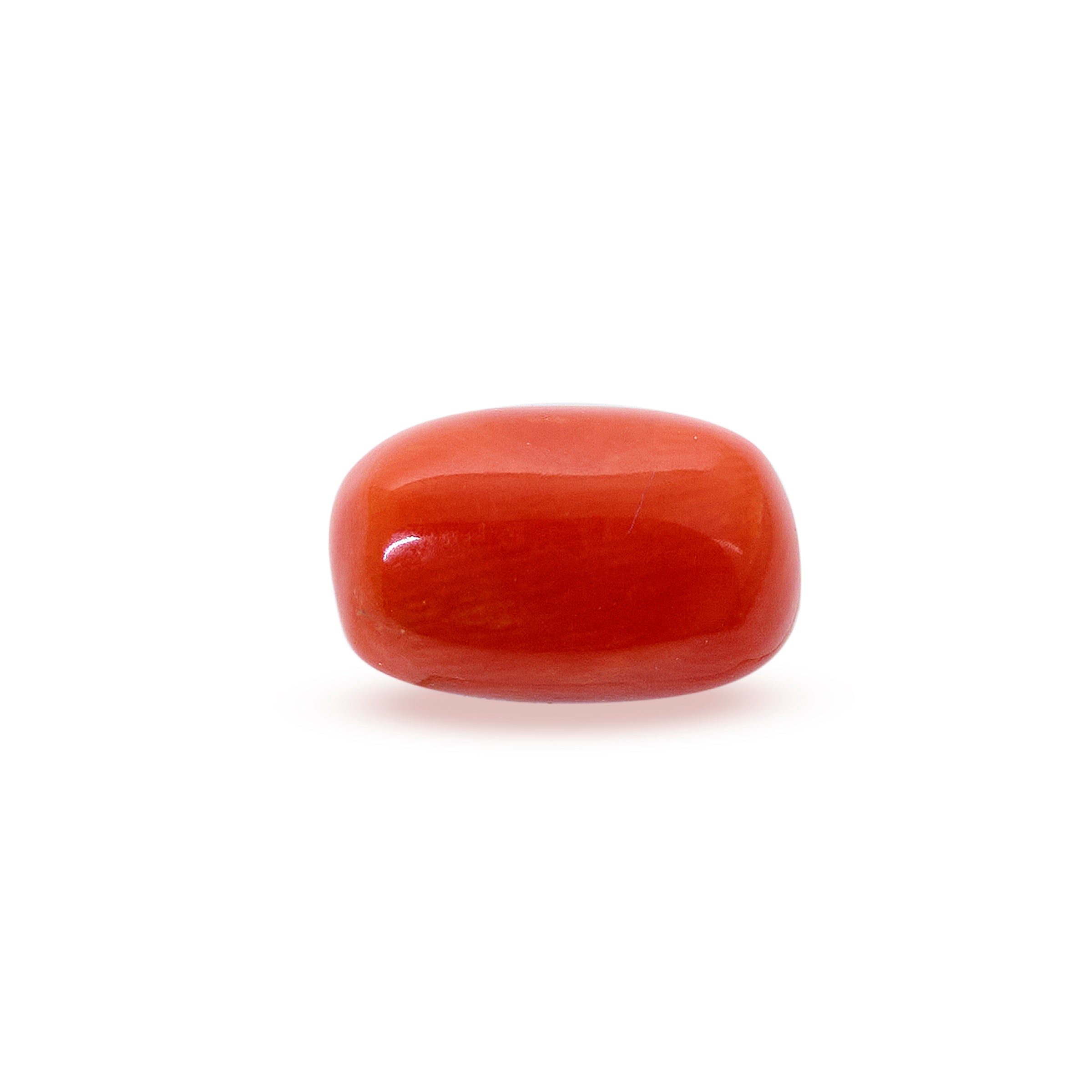 Natural Red Coral (3.84 Carat and 4.22 Ratti)