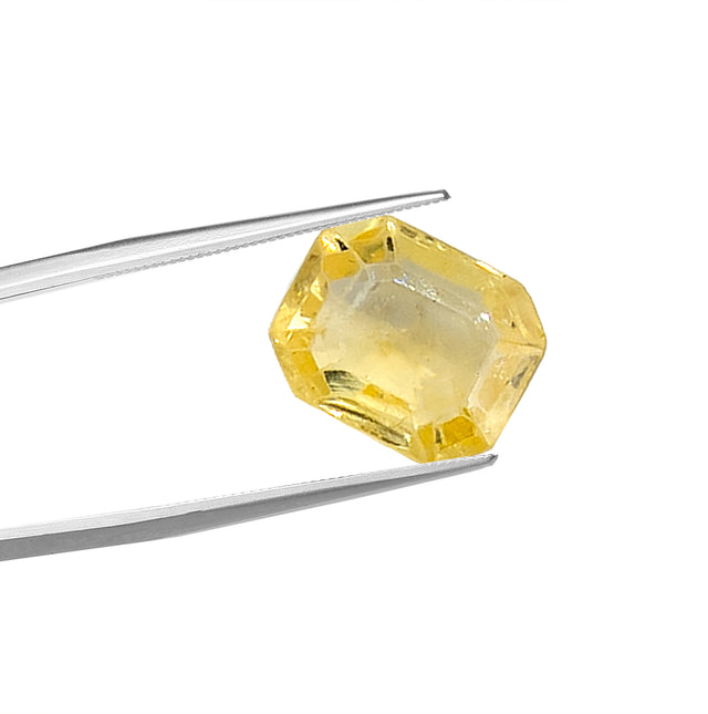 Natural Yellow Sapphire Gemstone (1.55 Carat and 1.71 Ratti)
