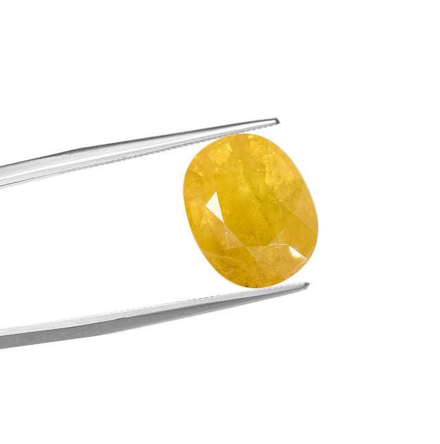 Natural Yellow Sapphire (7.81Ct Carat and 8.59 Ratti)